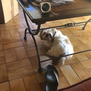 Meet your Posher, Carmina